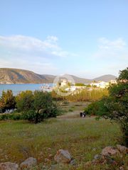 Οικόπεδο 4.004 τ.μ. για πώληση, Αργολίδα, Κρανίδι-thumb-6