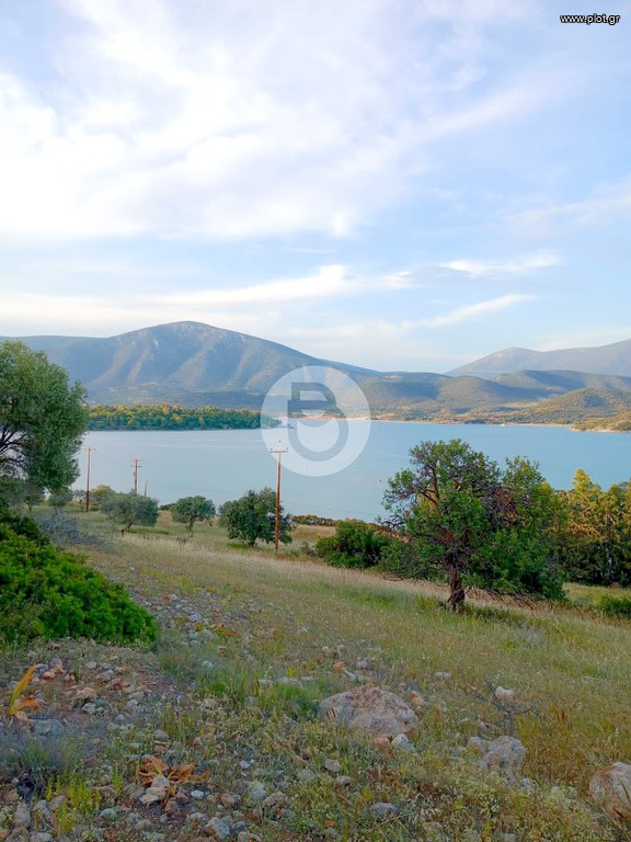 Οικόπεδο 4.004 τ.μ. πρός πώληση, Αργολίδα, Κρανίδι