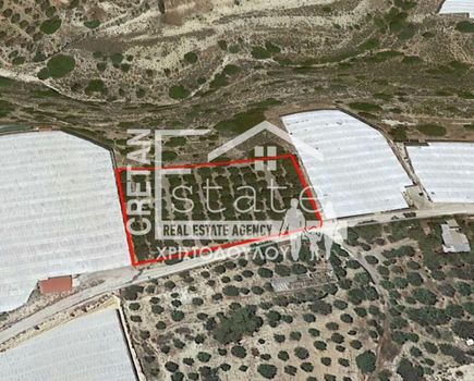 Αγροτεμάχια 4.000τ.μ. για πώληση-Ιεράπετρα » Παχεία άμμος