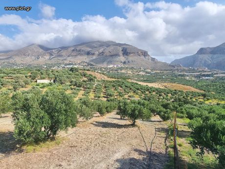 Οικόπεδο 4.200 τ.μ. για πώληση