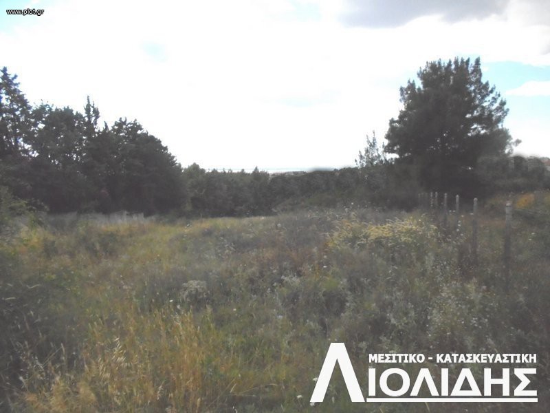 Αγροτεμάχια 13.700 τ.μ. πρός πώληση, Θεσσαλονίκη - Περιφ/Κοί Δήμοι, Πυλαία
