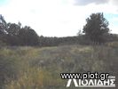 Αγροτεμάχια 13.700τ.μ. για πώληση-Πυλαία