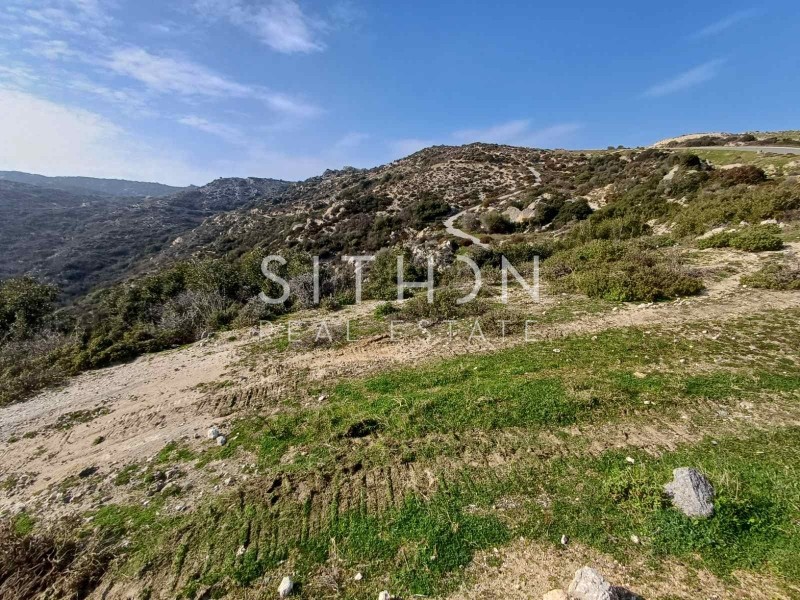 Οικόπεδο 500 τ.μ. προς πώληση, Σκάλα Συκέας