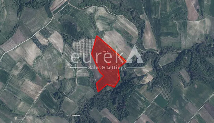 Parcel 35.808 sqm for sale, Pieria Prefecture, Petra