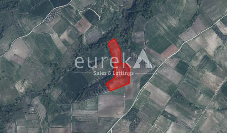 Parcel 19.268 sqm for sale, Pieria Prefecture, Petra