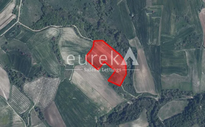 Parcel 13.574 sqm for sale, Pieria Prefecture, Petra