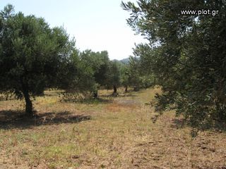 Οικόπεδο 4.050 τ.μ. για πώληση