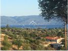 Land plot 12.932sqm for sale-Amarinthos » Ano Vatheia