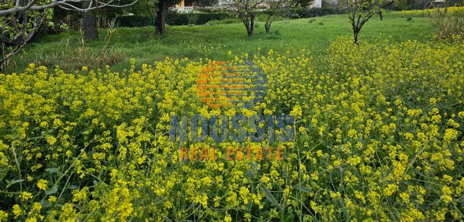 Parcel 450 sqm for sale, Athens - North, Krioneri