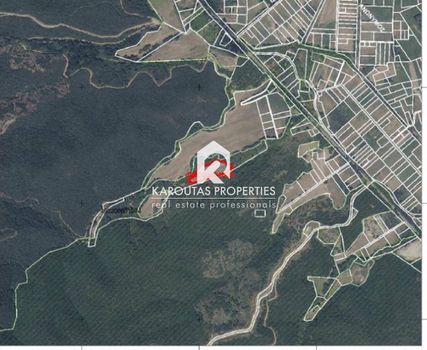 Parcel 4.460sqm for sale-Stagiron - Akanthou » Krioneri