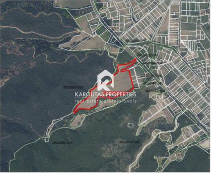 Parcel 71.500sqm for sale-Stagiron - Akanthou » Krioneri