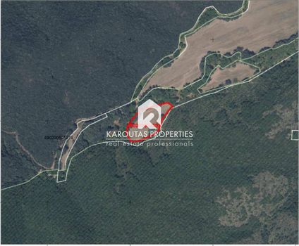 Parcel 9.046sqm for sale-Stagiron - Akanthou » Krioneri
