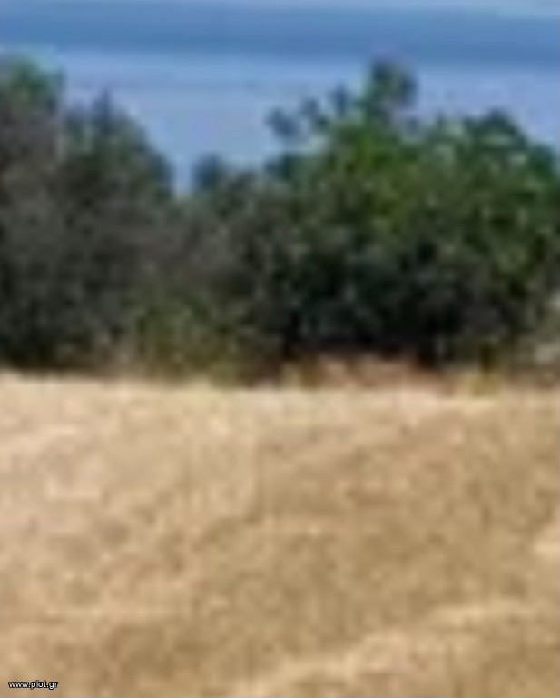 Οικόπεδο 40.000 τ.μ. προς πώληση, Αλυκή Κιμώλου