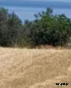 Οικόπεδο 40.000τ.μ. για πώληση-Κίμωλος » Αλυκή