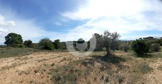 Οικόπεδο 8.000 τ.μ. για πώληση, Αργολίδα, Κρανίδι-thumb-2