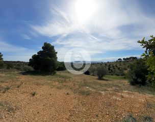 Οικόπεδο 8.000 τ.μ. για πώληση, Αργολίδα, Κρανίδι-thumb-4