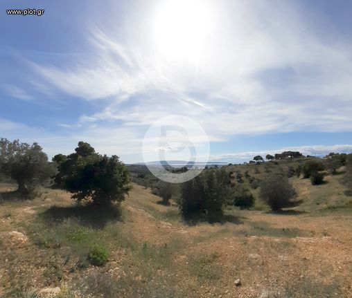 Οικόπεδο 8.000 τ.μ. για πώληση, Αργολίδα, Κρανίδι