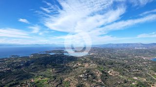 Οικόπεδο 8.000 τ.μ. για πώληση, Αργολίδα, Κρανίδι-thumb-5