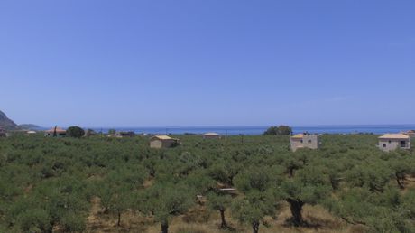 Οικόπεδο 734τ.μ. για πώληση-Λεύκτρος » Ρίγκλια