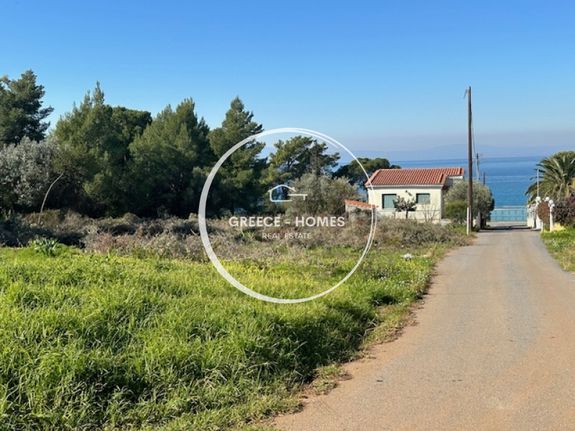 Οικόπεδο 1.425 τ.μ. για πώληση, Μεσσηνία, Καλαμάτα