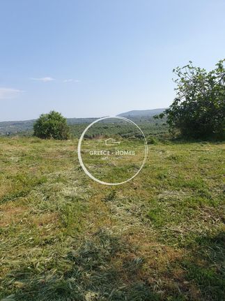 Land plot 1.185 sqm for sale, Messinia, Koroni