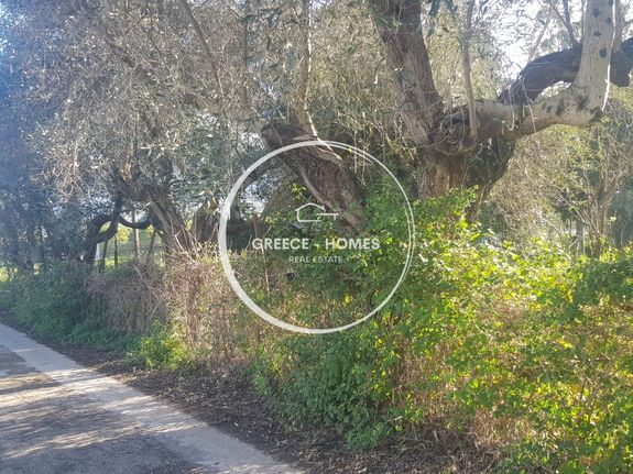 Αγροτεμάχια 420 τ.μ. για πώληση, Μεσσηνία, Καλαμάτα