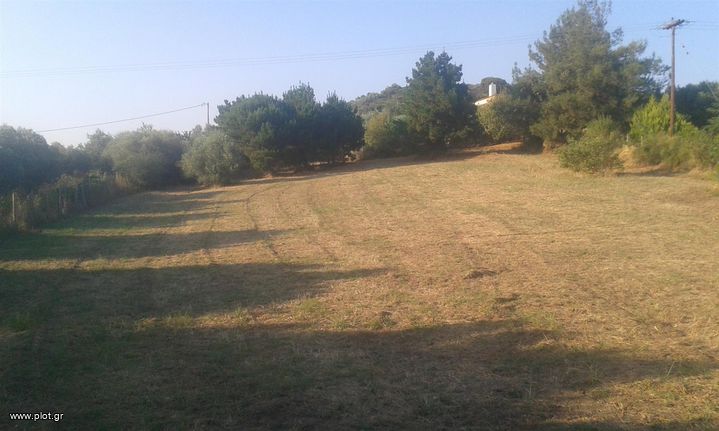 Land plot 3.000 sqm for sale, Chalkidiki, Stagiron - Akanthou