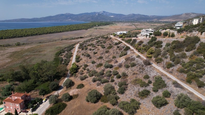 Οικόπεδο 1.020 τ.μ. πρός πώληση, Αθήνα - Ανατολικά Προάστια, Μαραθώνας