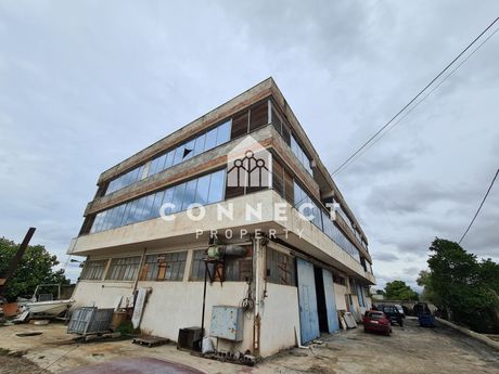Επιχειρηματικό κτίριο 2.000 τ.μ. για πώληση
