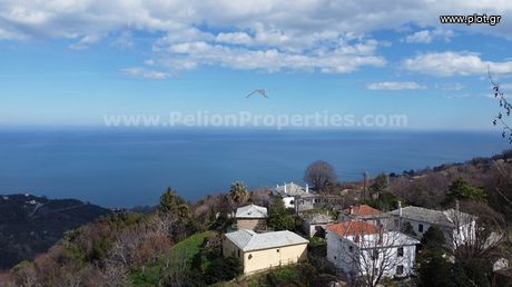 Οικόπεδο 235τ.μ. για πώληση-Μούρεσι » Κέντρο
