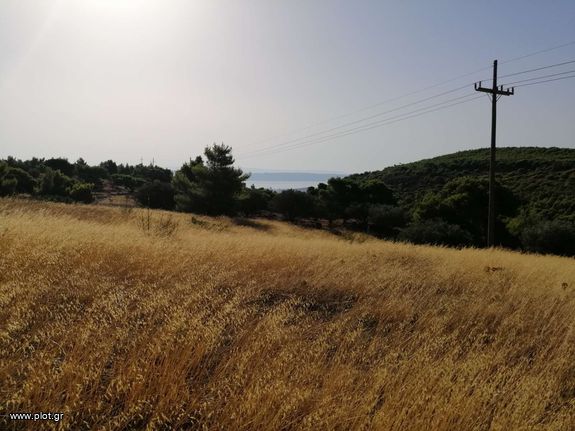 Parcel 18.500 sqm for sale, Rest Of Attica, Keratea