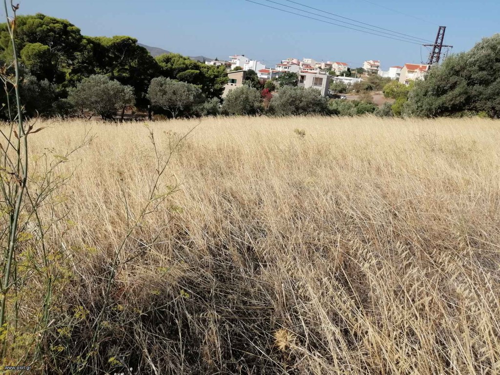 Αγροτεμάχια 18.500 τ.μ. πρός πώληση, Αττική - Υπόλοιπο, Κερατέα