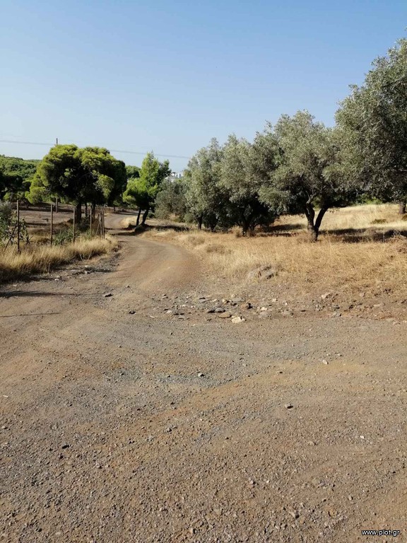 Αγροτεμάχια 18.500 τ.μ. πρός πώληση, Αττική - Υπόλοιπο, Κερατέα