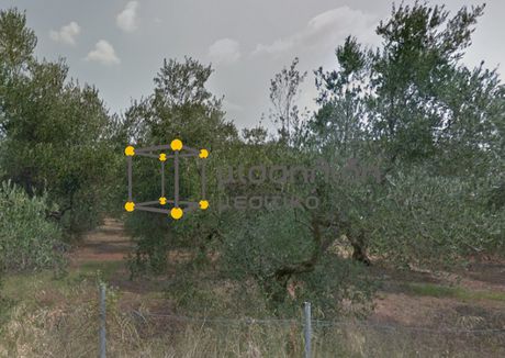 Parcel 5.500sqm for sale-Alexandroupoli » Nea Chili