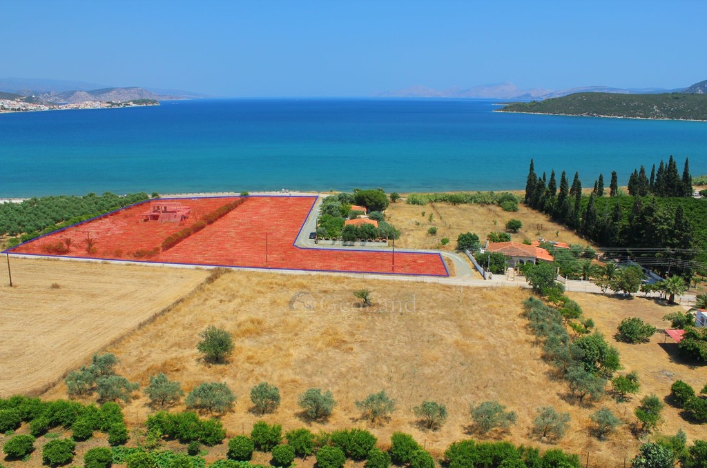 Αγροτεμάχια 8.000 τ.μ. προς πώληση, Άγιοι Ανάργυροι Ερμιόνης