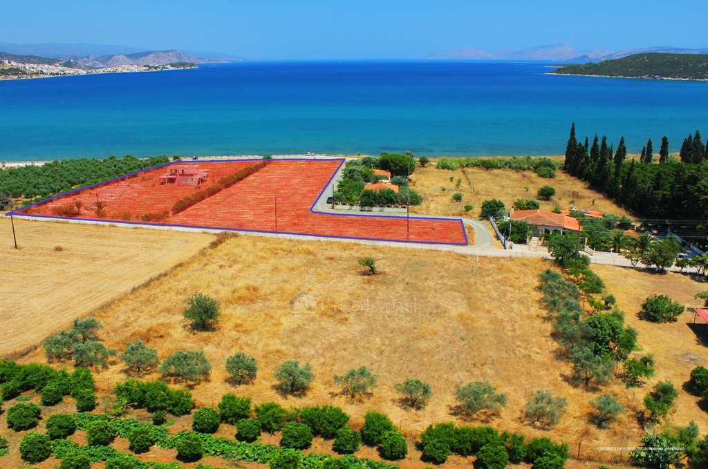 Αγροτεμάχια 8.000 τ.μ. προς πώληση, Άγιοι Ανάργυροι Ερμιόνης