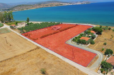 Αγροτεμάχια 8.000τ.μ. για πώληση-Ερμιόνη » Άγιοι ανάργυροι