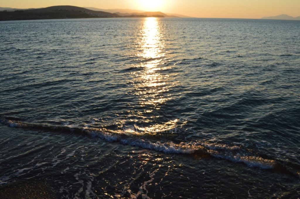 Αγροτεμάχια 8.000 τ.μ. προς πώληση, Άγιοι Ανάργυροι Ερμιόνης