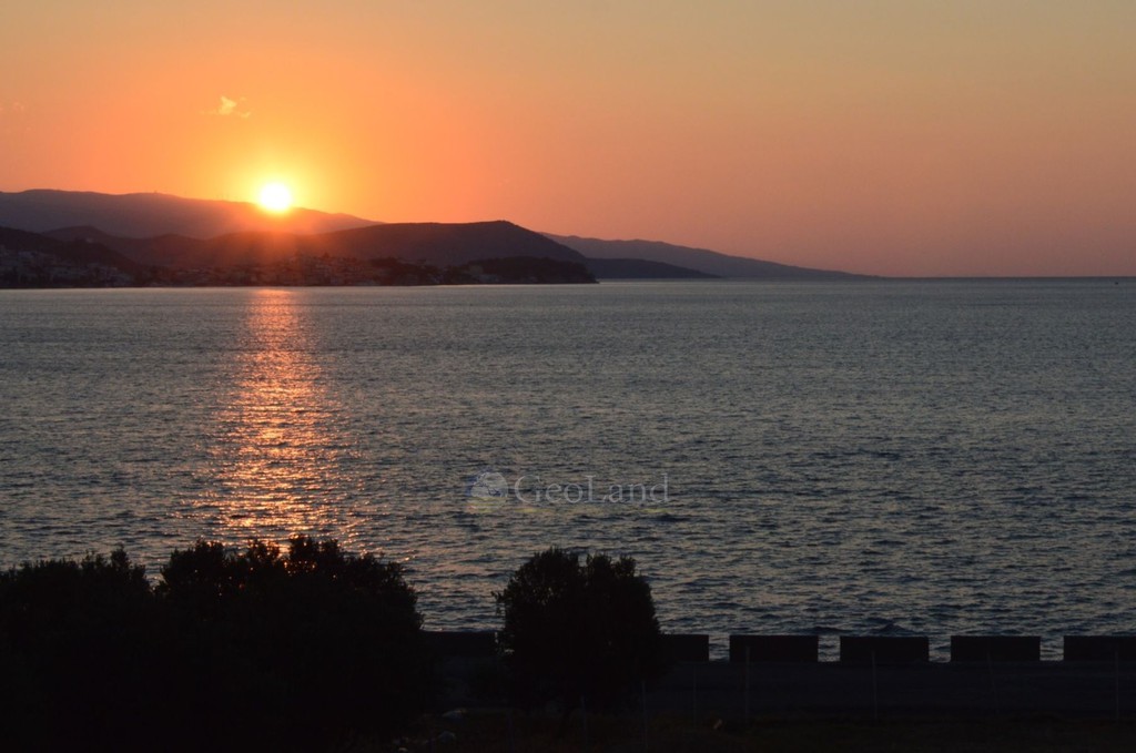 Αγροτεμάχια 8.000 τ.μ. προς πώληση, Άγιοι Ανάργυροι Ερμιόνης