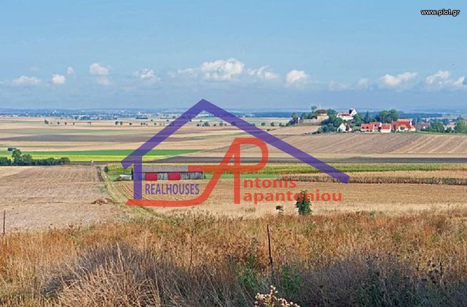 Land plot 1.685 sqm for sale, Ioannina Prefecture, Passarona