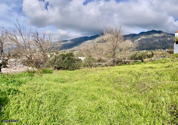 Οικόπεδο 556 τ.μ. για πώληση, Ν. Ρεθύμνου, Φοινίκας