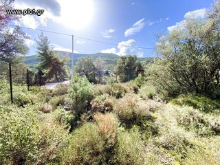 Οικόπεδο 420 τ.μ. για πώληση, Αργολίδα, Επίδαυρος-thumb-14