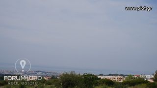 Αγροτεμάχια 2.400 τ.μ. για πώληση