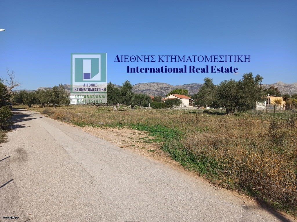 Αγροτεμάχια 2.816 τ.μ. προς πώληση, Αττική - Υπόλοιπο, Νέα Πέραμος (μεγάλο Πεύκο)