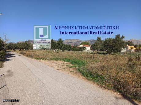 Αγροτεμάχια 2.816τ.μ. για πώληση-Νέα πέραμος (μεγάλο πεύκο) » Νέα πέραμος