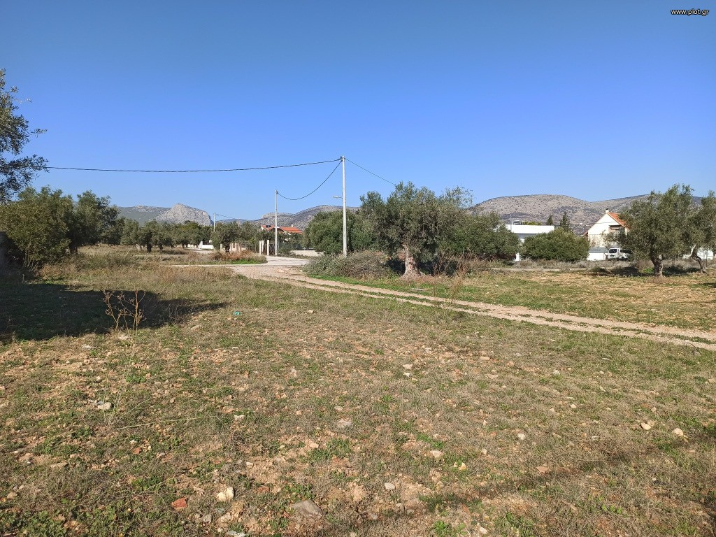 Αγροτεμάχια 2.816 τ.μ. προς πώληση, Αττική - Υπόλοιπο, Νέα Πέραμος (μεγάλο Πεύκο)