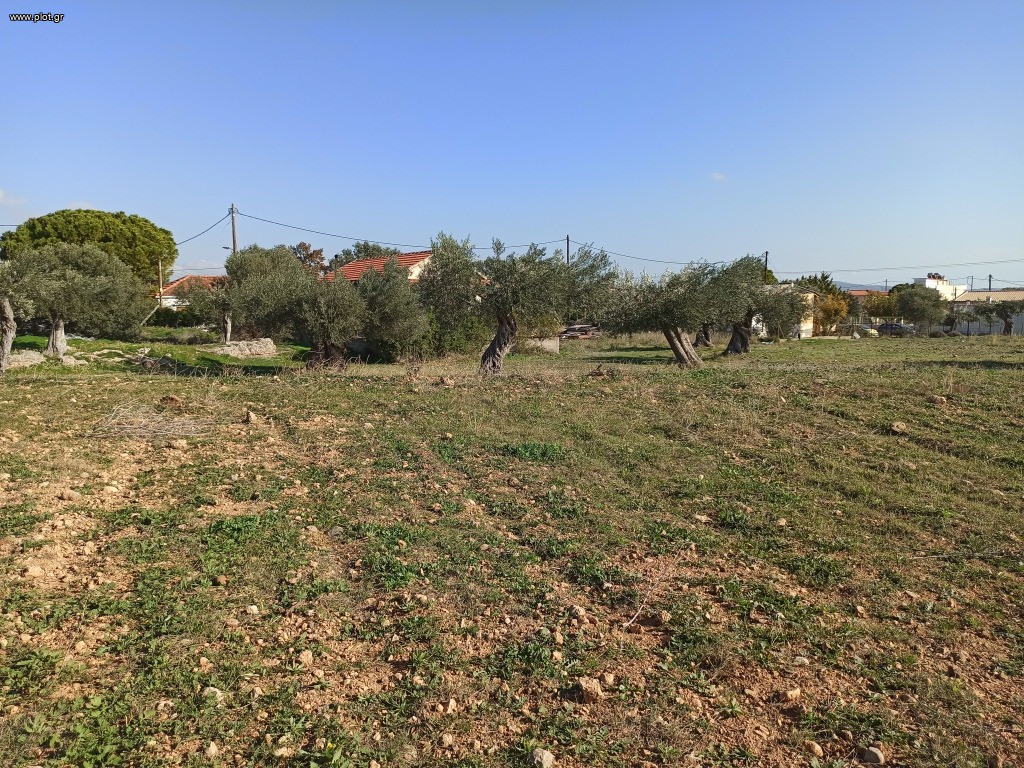 Αγροτεμάχια 2.816 τ.μ. προς πώληση, Αττική - Υπόλοιπο, Νέα Πέραμος (μεγάλο Πεύκο)