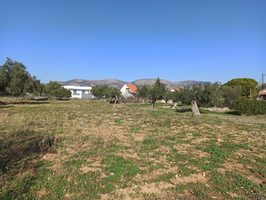 Αγροτεμάχια 2.816 τ.μ. προς πώληση, Αττική - Υπόλοιπο, Νέα Πέραμος (μεγάλο Πεύκο)