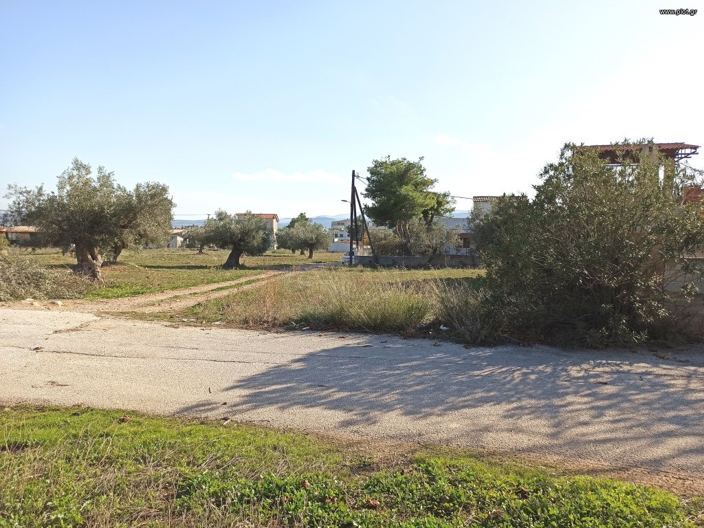 Αγροτεμάχια 2.816 τ.μ. προς πώληση, Αττική - Υπόλοιπο, Νέα Πέραμος (μεγάλο Πεύκο)