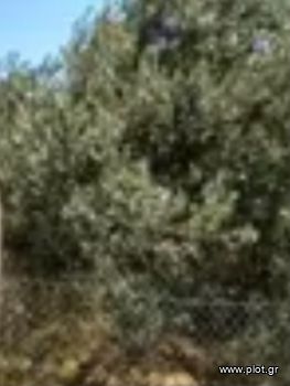 Land plot 316sqm for sale-Palaio Faliro » Floisvos